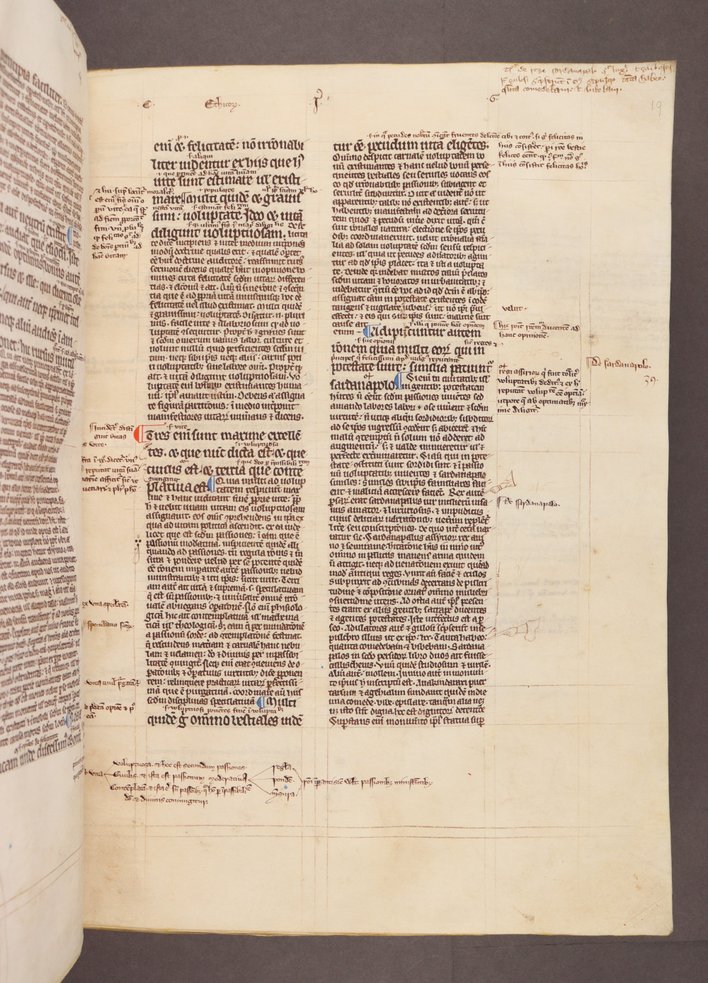 Folio 19 recto